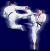 Martial Arts